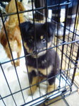 200712011611.jpg