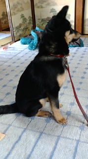 20080305141731.jpg